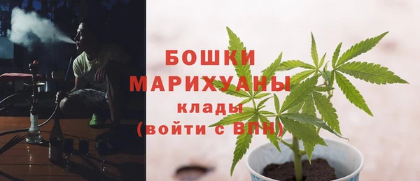 прущие крисы Ельня