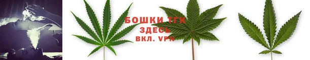 ешки Елабуга