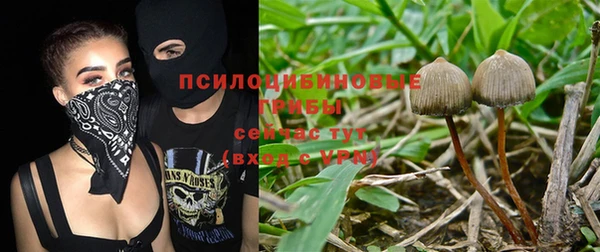 меф Елизово