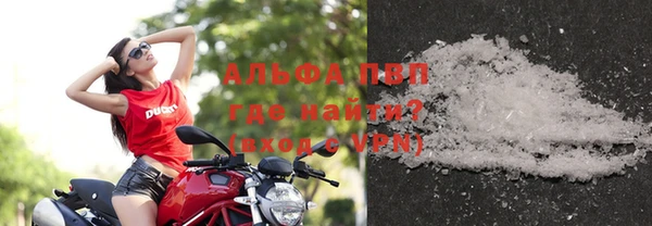 прущие крисы Ельня