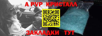 PSILOCYBIN Гусев