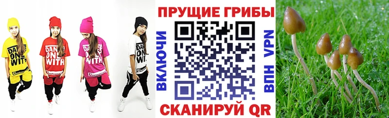 blacksprut ССЫЛКА  Мелеуз  Галлюциногенные грибы Cubensis 