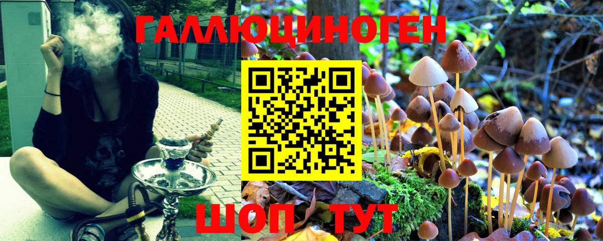 Галлюциногенные грибы прущие грибы  Псилоцибиновые грибы ЛСД  Мелеуз  Вход с VPN 