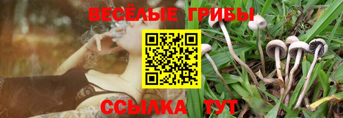 Галлюциногенные грибы прущие грибы Мелеуз