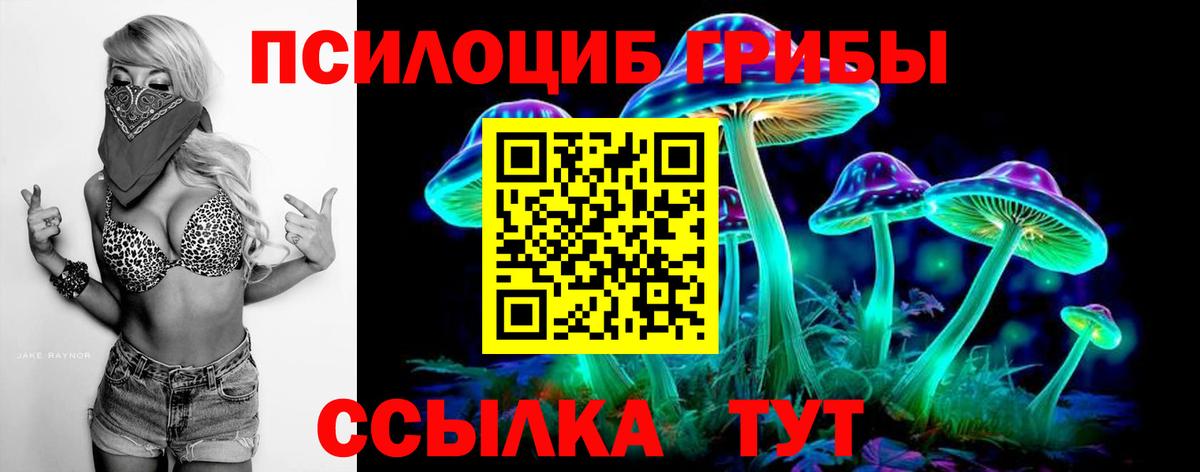 Галлюциногенные грибы Psilocybe Мелеуз