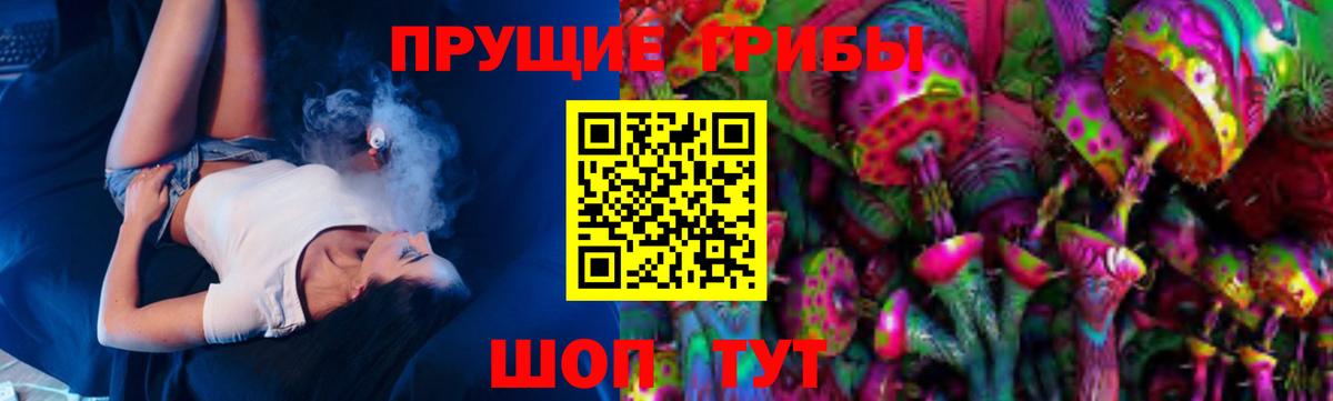 Псилоцибиновые грибы Psilocybe  Мелеуз 