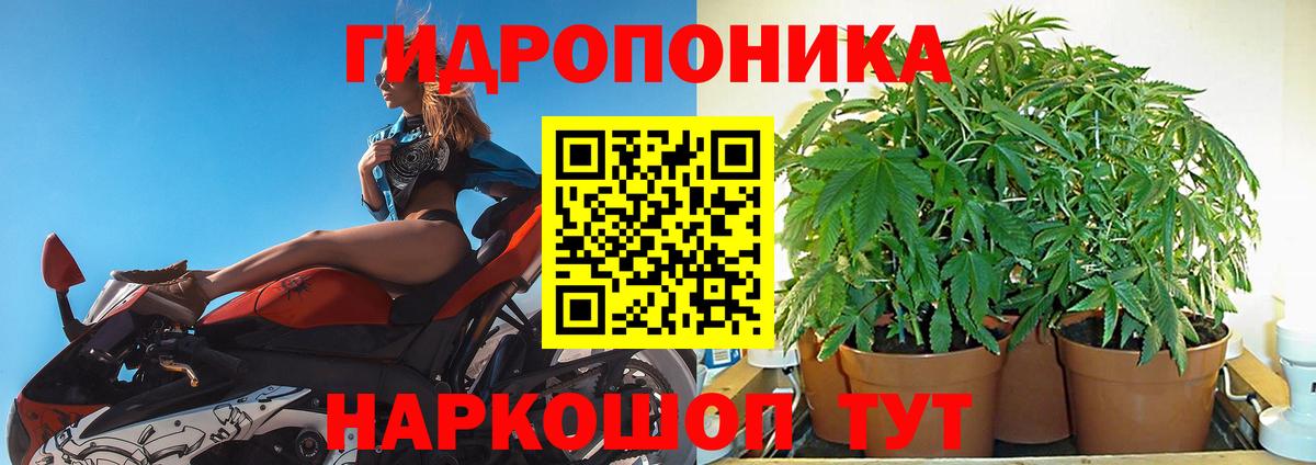 Конопля SATIVA & INDICA  Каннабис Bruce Banner  Мелеуз  МАРИХУАНА сатива 